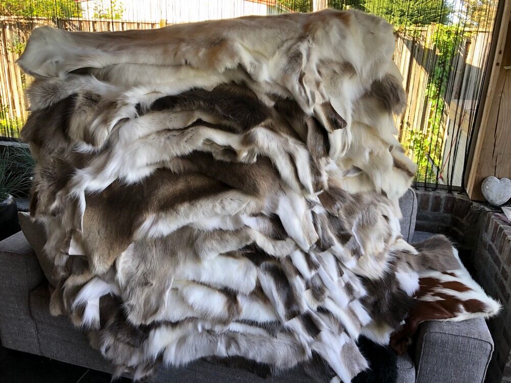 Aanbod Rendierhuiden